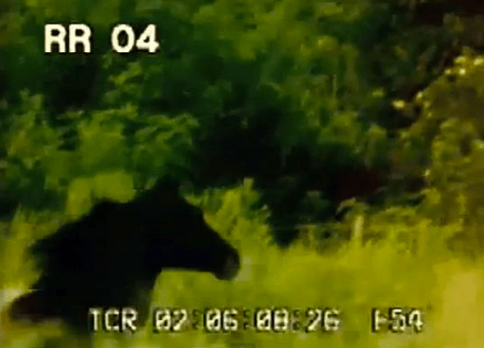 Screen Shot 2015-02-09 at 7.38.27 PM